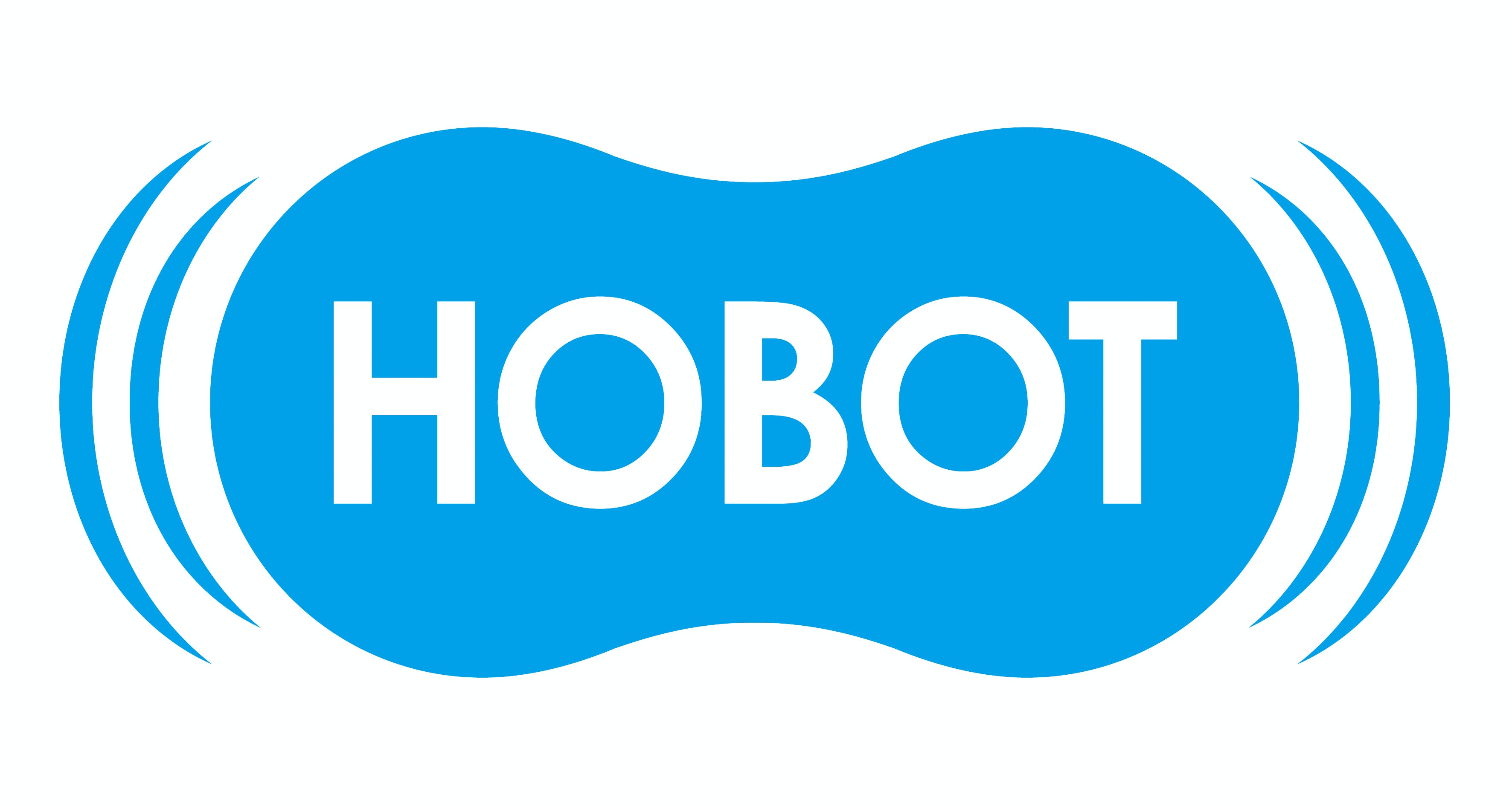 Роботы-для дома Hobot от официального дилера